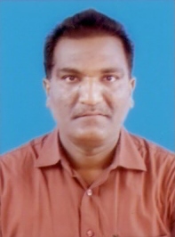 Prof. Pravin Ghodeswar